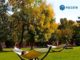 «Россети» увеличили в три раза выдачу мощности объектам городского сада «Эрмитаж» в центре Москвы