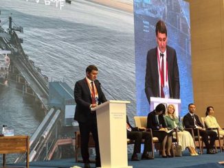 Генеральный директор ПАО «Россети» Андрей Рюмин принял участие в Российско-Китайском бизнес-форуме