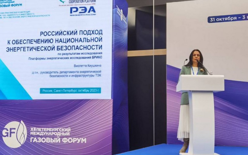 Руководитель Департамента энергетической безопасности и инфраструктуры ТЭК РЭА Минэнерго России, д.т.н Виолетта Киушкина
