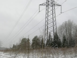 Филиал ПАО «Россети» усилил грозозащиту магистральных линий электропередачи в Санкт-Петербурге и Ленинградской области