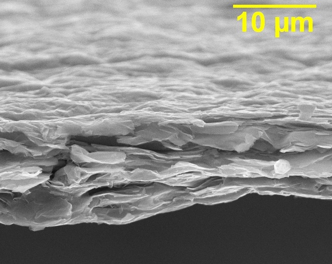 Микрофотография торца пленки из максенов